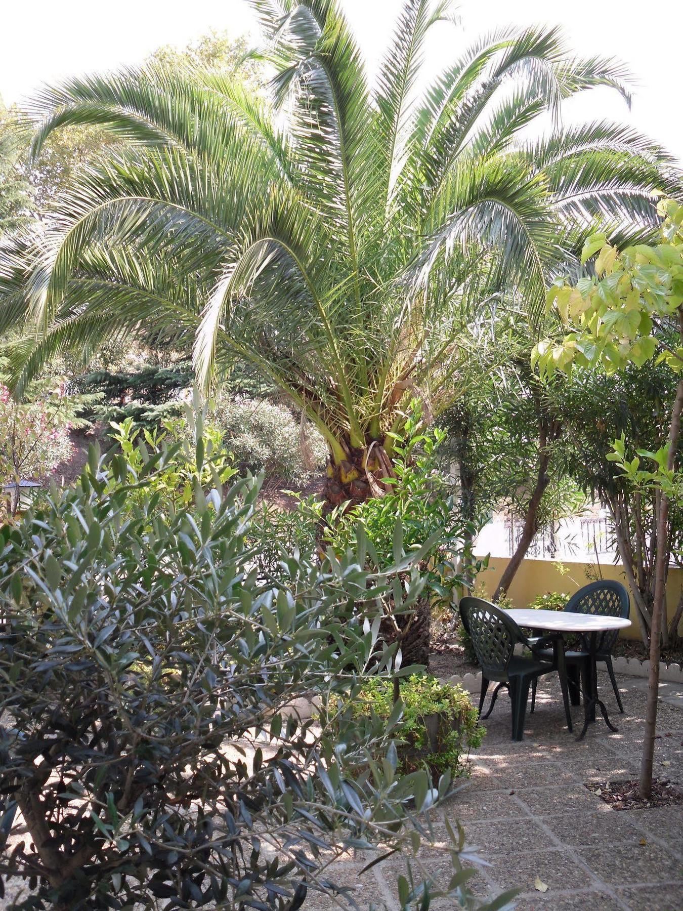 Hotel Le Nid Argelès-sur-Mer Εξωτερικό φωτογραφία