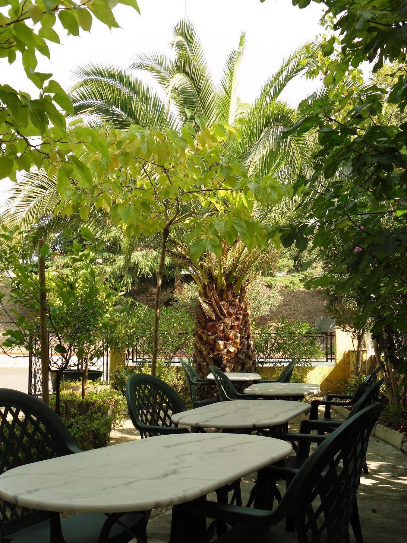 Hotel Le Nid Argelès-sur-Mer Εξωτερικό φωτογραφία